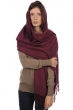 Cashmere accessori sciarpe foulard niry prugna 200x90cm