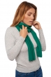Cashmere accessori sciarpe foulard ozone green grass 160 x 30 cm