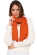 Cashmere accessori sciarpe foulard ozone marmelade 160 x 30 cm