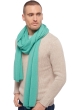 Cashmere accessori sciarpe foulard wifi nile 230cm x 60cm