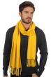Cashmere accessori sciarpe foulard zak200 tournesol 200 x 35 cm