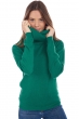 Cashmere cashmere donna collo alto anapolis verde inglese 3xl