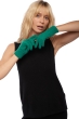 Cashmere cashmere donna manine verde inglese 22 x 13 cm