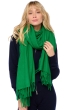 Cashmere cashmere donna sciarpe foulard niry peterpan 200x90cm