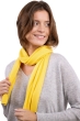 Cashmere cashmere donna sciarpe foulard ozone daffodil 160 x 30 cm
