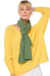 Cashmere uomo sciarpe foulard ozone foliage 160 x 30 cm