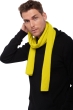 Cashmere uomo sciarpe foulard ozone maize 160 x 30 cm