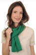 Cashmere uomo sciarpe foulard ozone verde inglese 160 x 30 cm