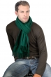 Cashmere uomo sciarpe foulard zak170 verde foresta 170 x 25 cm