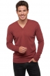 Cashmere uomo scollo a v tor first rosewood l